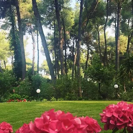Danae 别墅 撒尼海滩